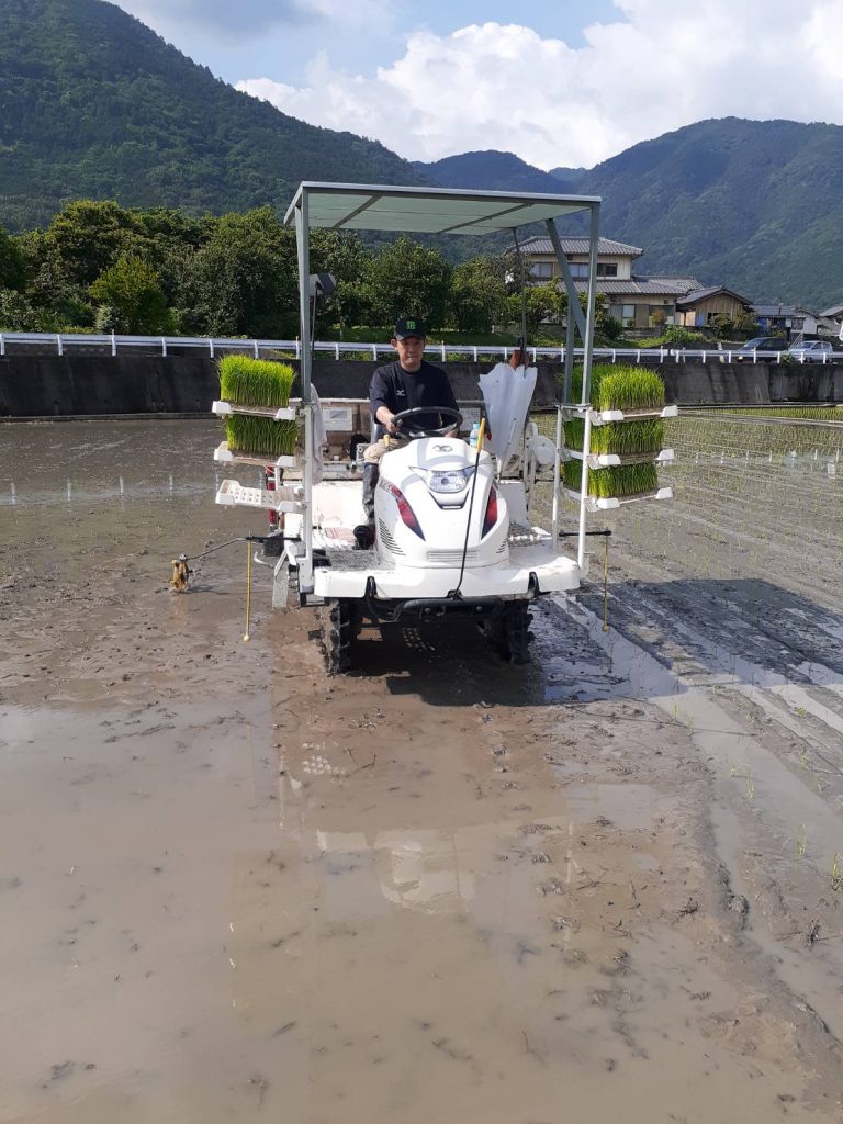 お米の田植え　泉南市